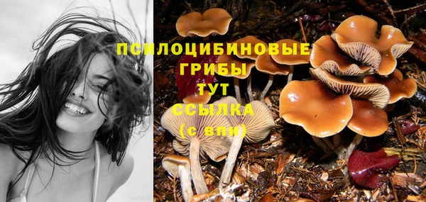 стафф Каменногорск