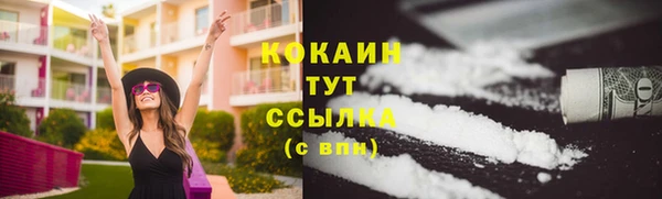 стафф Каменногорск