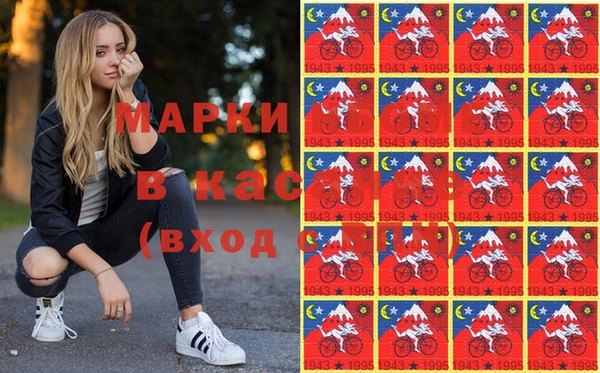 стафф Каменногорск