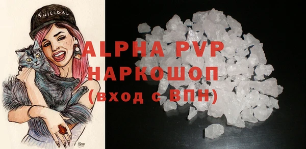 стафф Каменногорск