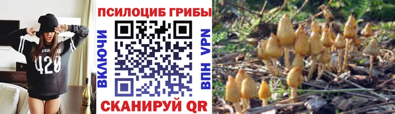 Галлюциногенные грибы Psilocybine cubensis  Купить где  Рассказово 